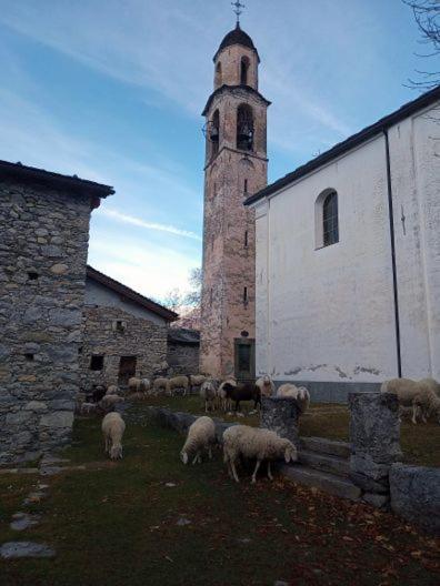 Rifugio Uschione Guest House Chiavenna Exterior photo